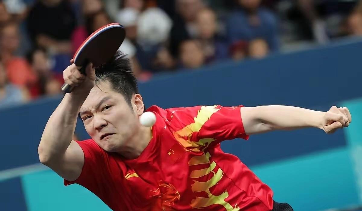 德国乒乓球队碾压波兰乒乓球队,樊振东关键制胜 德国乒乓球队碾压波兰乒乓球队,樊振东关键制胜