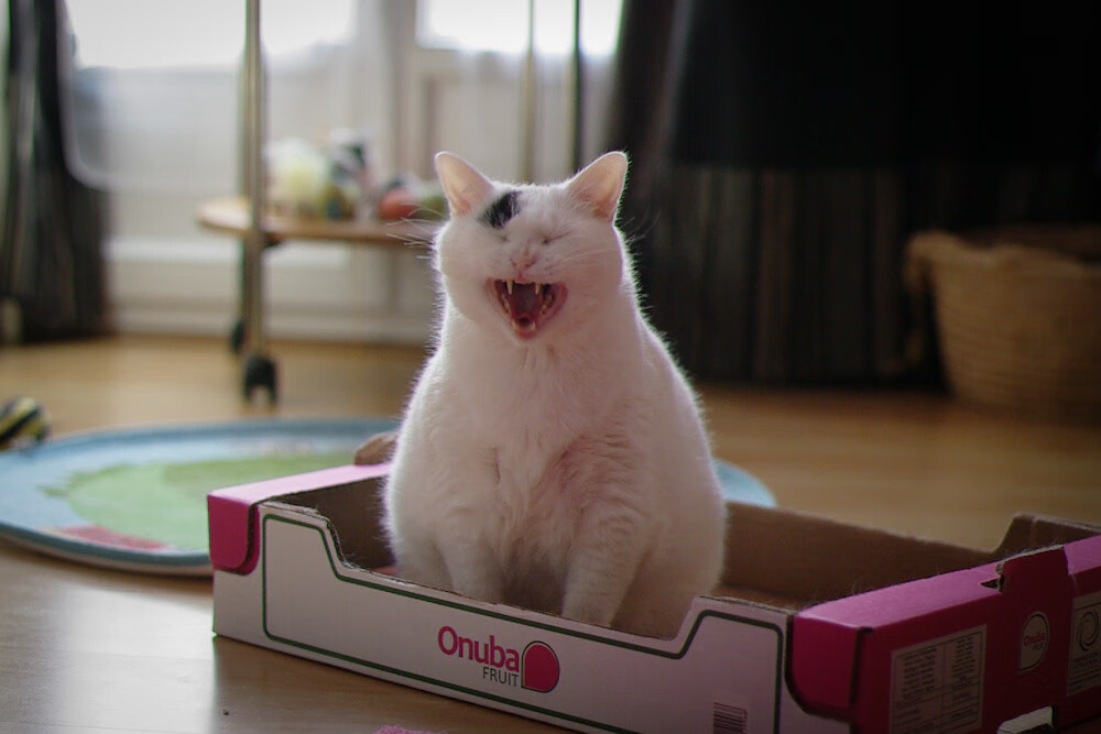 英格拉姆，如恒星般稳定燃烧；老鹰群，如雪崩般吞噬国王