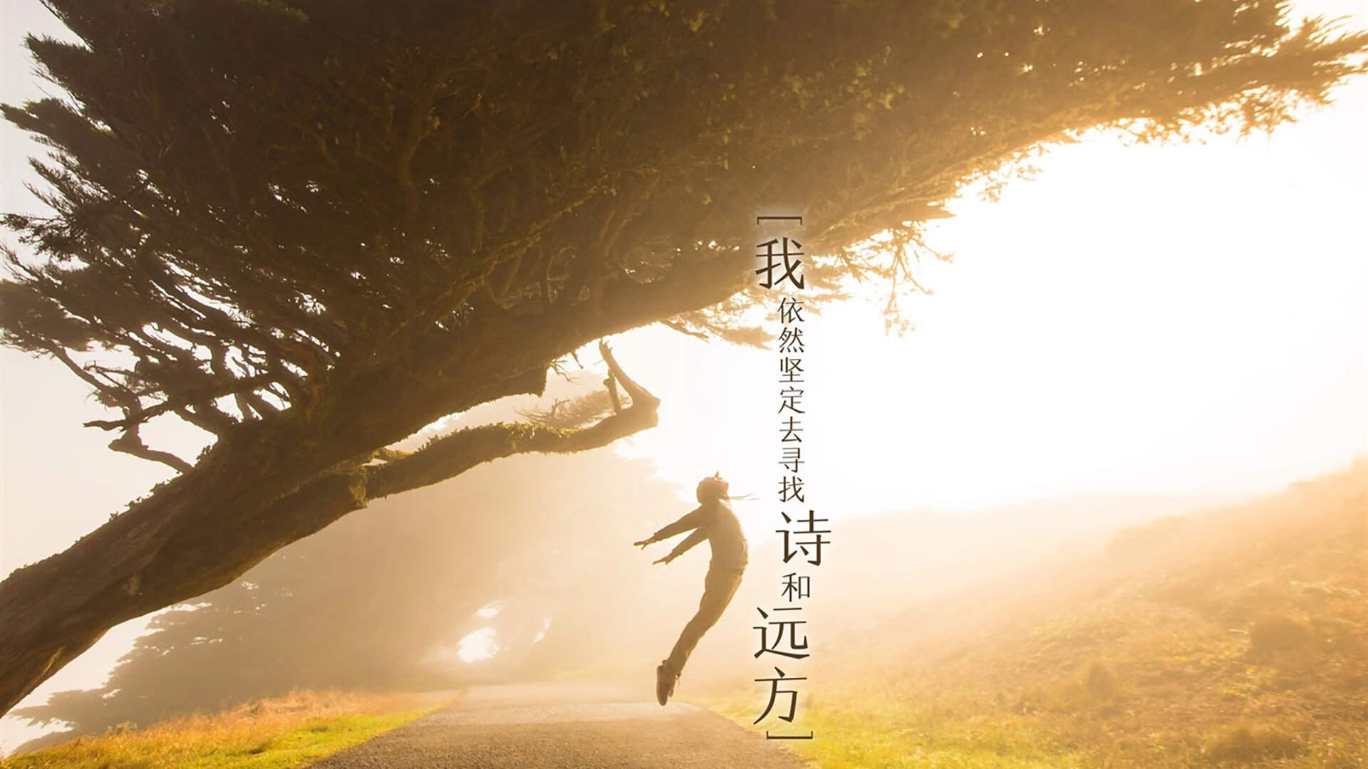 北欧重锤击碎三狮幻想！伊萨克凌空斩锁定胜局，皇家社会点燃伊比利亚晨曦