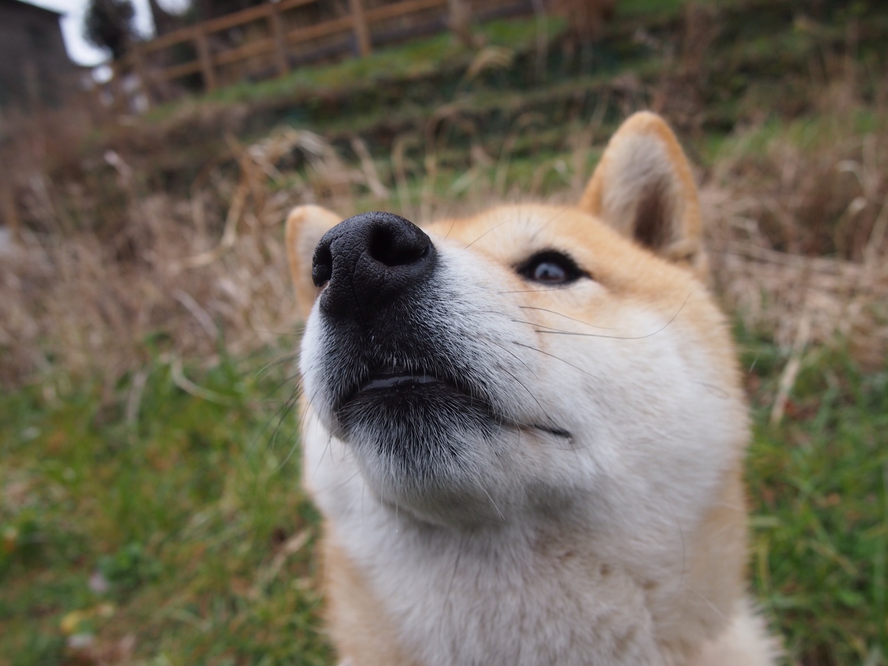 铁血骑士攻克烈焰主场,范弗利特末节风暴导演逆转神话