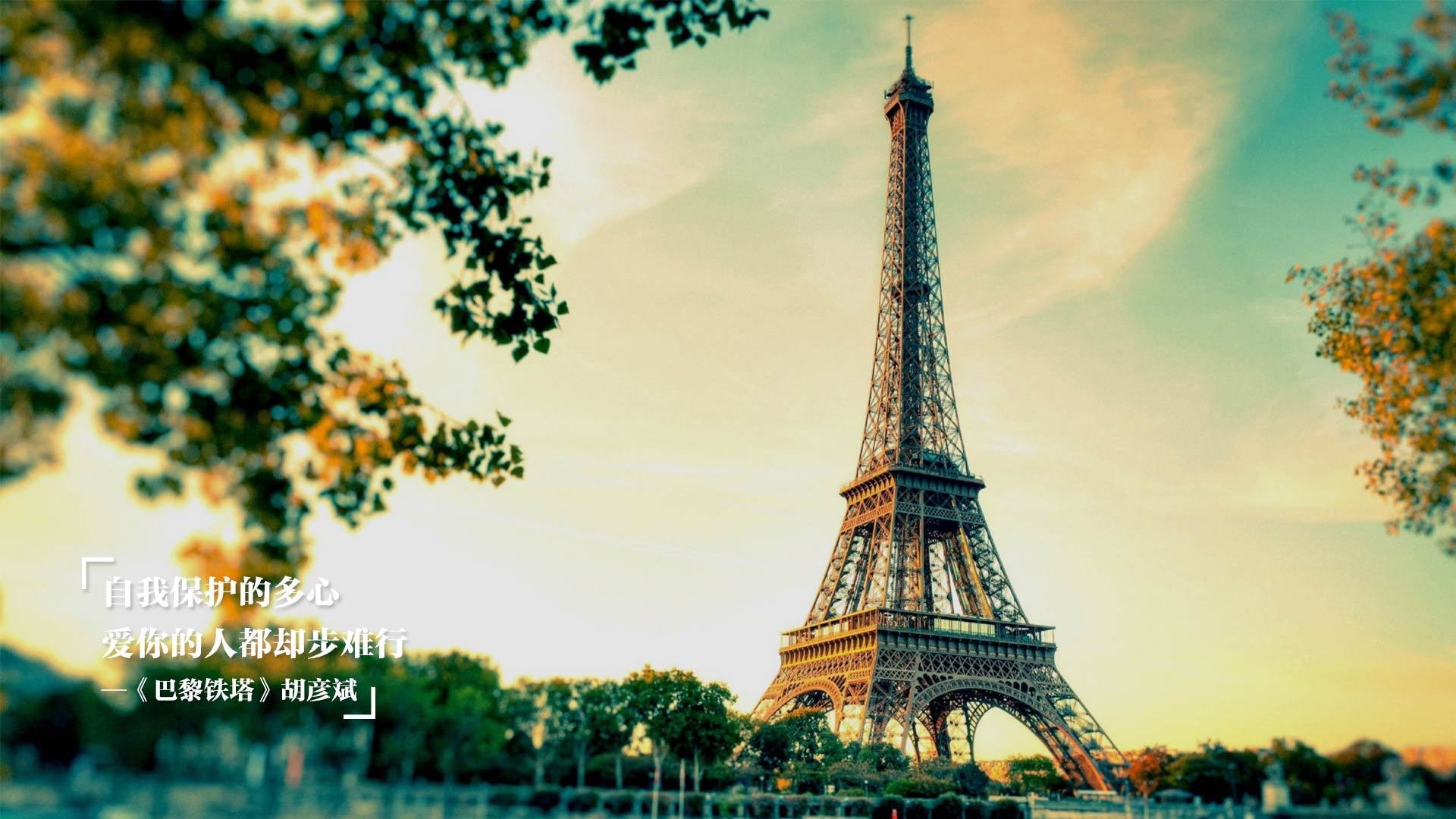 七十三次转换,隐形脊梁巴雷拉如何无声拆解卡塔尔