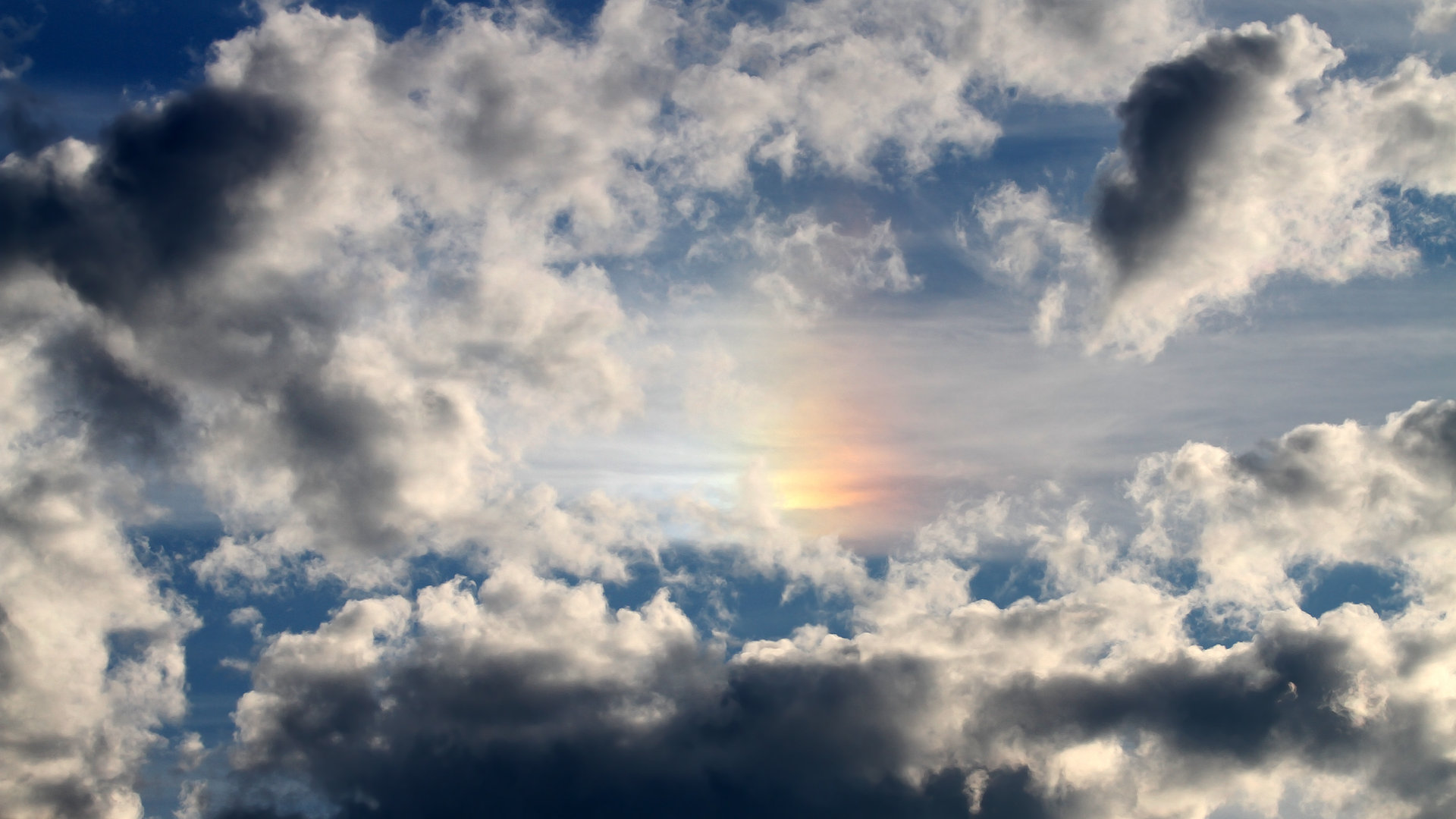 当坦克军团遭遇东方利刃，深圳烈豹用布克的手术刀肢解钢铁防线