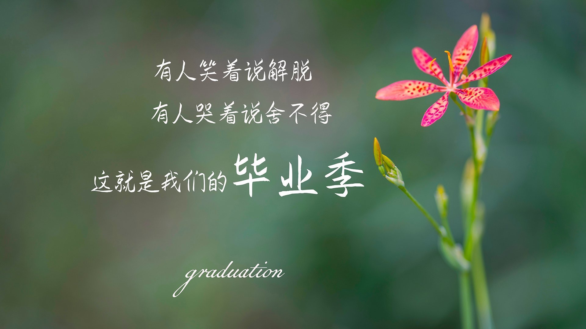 沙漠风暴席卷绿茵，2026世界杯，阿联酋力克德国，齐耶赫用节奏掌控书写唯一传奇