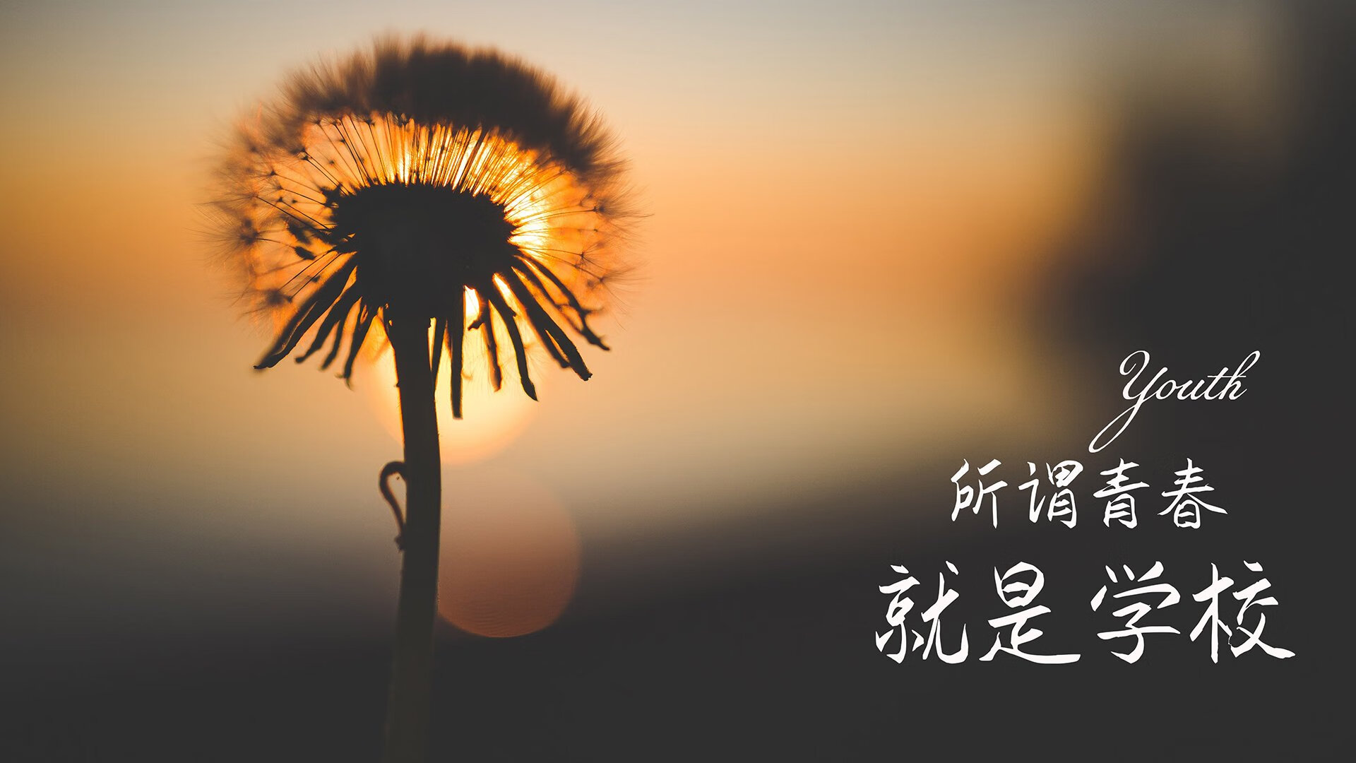 王权更迭,2026世界杯D组焦点战,葡萄牙碾压罗马尼亚,德布劳内如何用一脚传球定义唯一的统治力