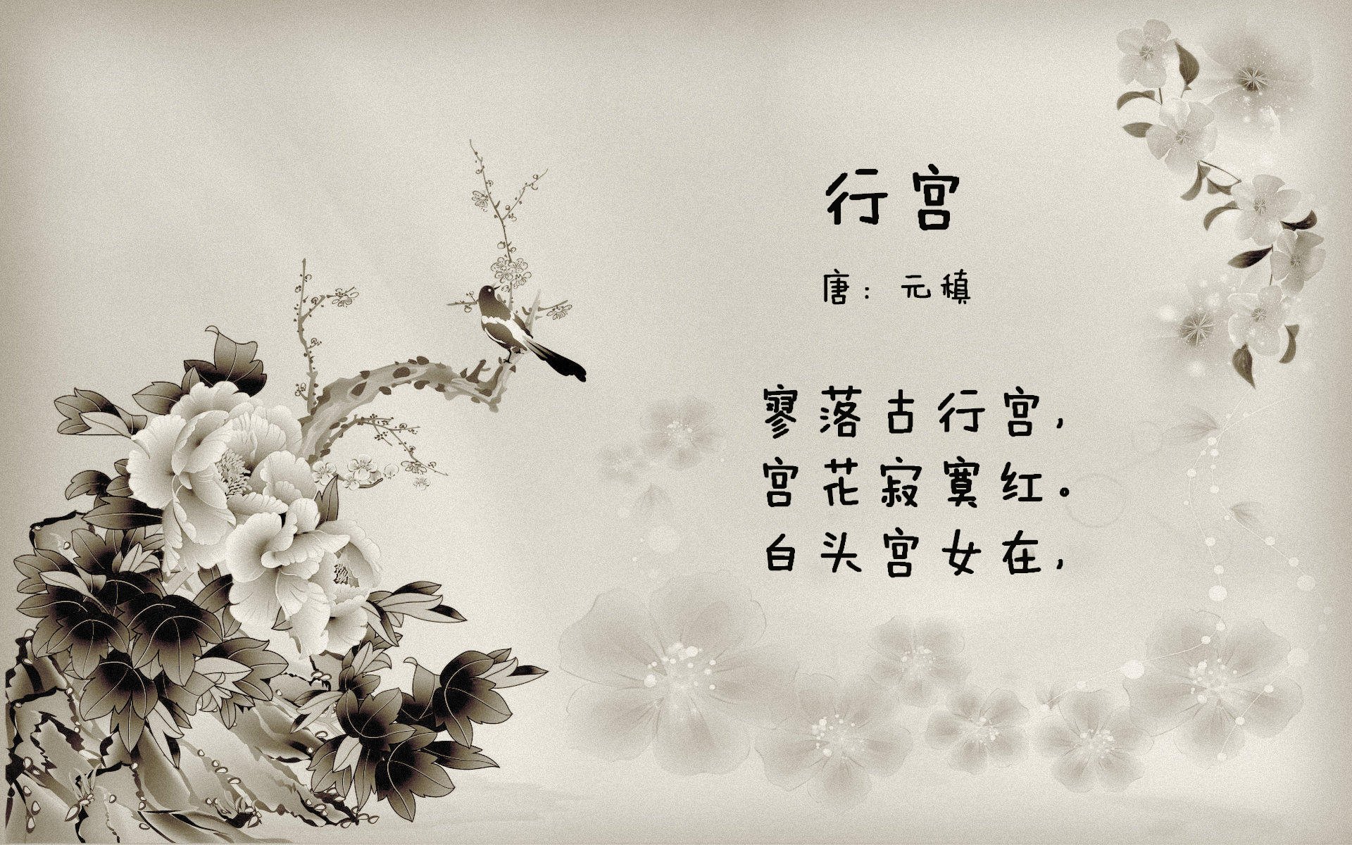 蓝月当空，孙兴慜的节奏哲学，如何在2026世界杯B组为厄瓜多尔奏响命运交响曲